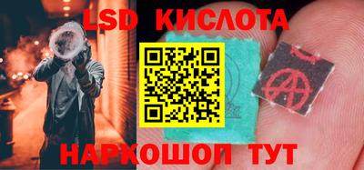винт Шелехов