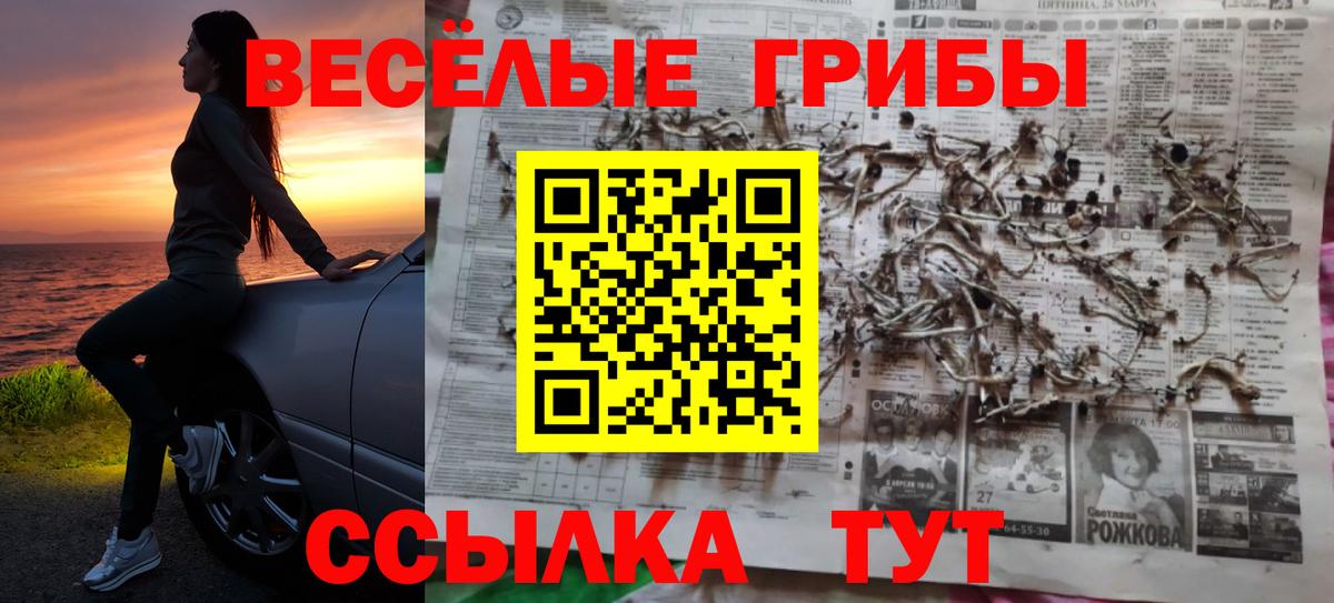 Галлюциногенные грибы Psilocybe Приморско-Ахтарск